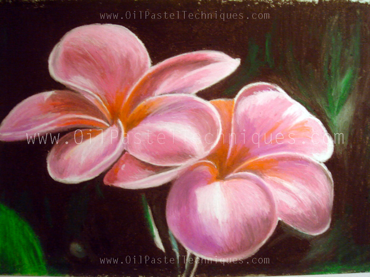 Flowers drawn with oil pastels