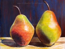 Pears drawing in oil pastels Pears drawing in oil pastels